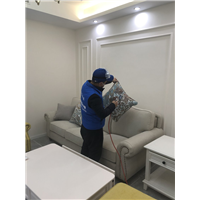 九棠府家装室内除甲醛