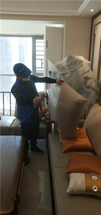 伍家岗映象左岸室内甲醛治理