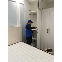 九棠府家装室内甲醛治理