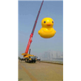 ◎广州吊车租赁◎广州履带吊租赁公司◎ 