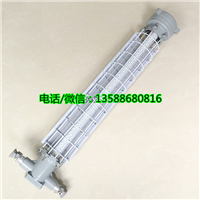 长形爆款巷道灯 DGS18/127L(B)矿用隔爆型LED巷道灯防爆灯 