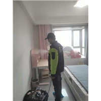 清华园甲醛治理