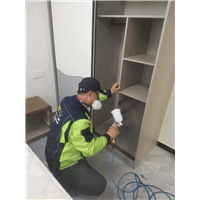 泰然居甲醛治理