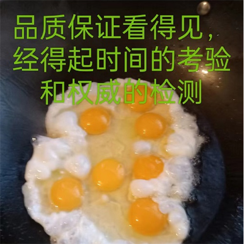 湖南土鸡苗批发