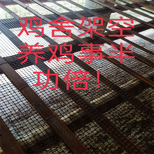 湖南土鸡苗批发