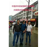 苏禽品种需要提前预订 