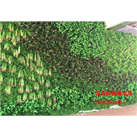 仿真植物墙 