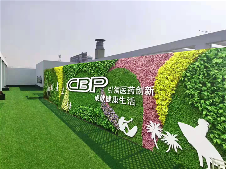 苏州景观艺术仿真植物墙造景