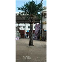 苏州仿真椰子树