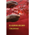 大量供应消防通过的防火红枫叶室内仿真植物