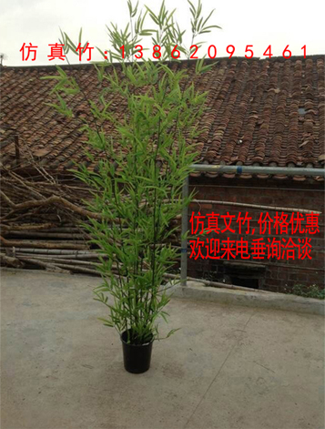苏州-上海-昆山-无锡-加密型仿真竹 