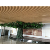 学校校园室内造景设计 