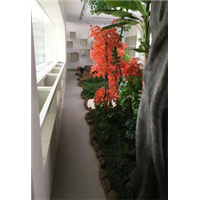 苏州吴江常熟昆山学校实验室仿真动植物标本室制作 