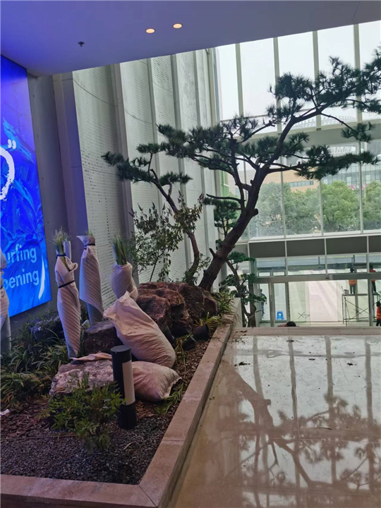 苏州上海室内仿真树造景