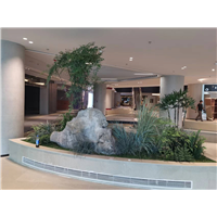 苏州昆山院校景观设计造景