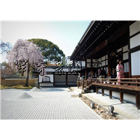 日式庭院枯山水景观设计 