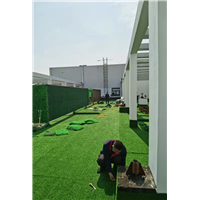 仿真植物墙造景