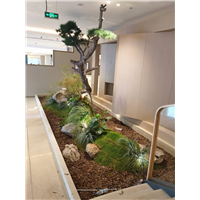 苏州常熟商场室内景观造景