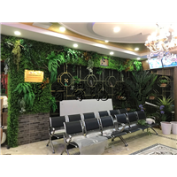 餐饮店室内植物墙造景 