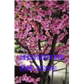 苏州无锡上海常熟各种仿真榕树桃花树红枫树 