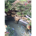 苏州常熟昆山庭院酒店私家园林千层石假山