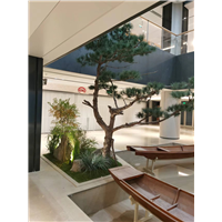 苏州上海民宿室内外造景设计