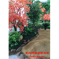 学校动植物标本实验室仿真造景设计施工 