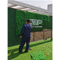 苏州常熟仿真植物墙造景