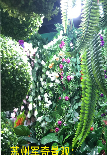 苏州上海昆山太仓仿真植物墙 