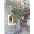 苏州无锡昆山常熟各种仿真榕树桃花树红枫树
