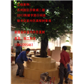 苏州无锡上海常熟各种仿真榕树桃花树红枫树