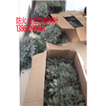 大量供应防火全阻燃仿真树叶仿真防火树叶
