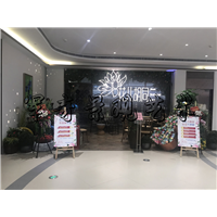 音乐餐厅整体仿真造景 