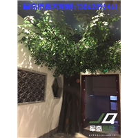 苏州仿真榕树杭州上海南京无锡常州昆山吴江仿真植物室内外造景 
