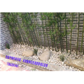 苏州昆山常熟仿真竹仿真草仿枯树干水池造景