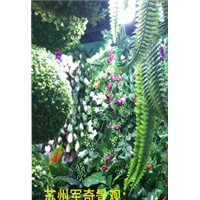 苏州上海昆山太仓仿真植物墙 
