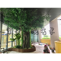 儿童医院仿真榕树整体造景 