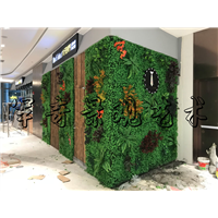 商场沙拉店植物墙造景 
