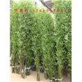 苏州昆山上海仿真竹仿真草仿枯树干水池造景 
