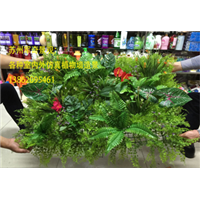 苏州吴江昆山上海常熟仿真绿化植物墙造景 
