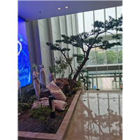苏州上海室内仿真树造景