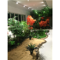 校园文化 动植物标本实验室造景设计 
