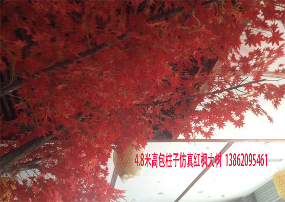 苏州昆山上海各种仿真红枫树 