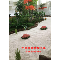 苏州学校仿真动植物标本实验室造景 