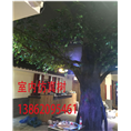 苏州-吴江-包柱子仿真树-仿真造景榕树 