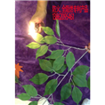 大量供应消防通过的防火叶防火室内仿真植物