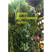 苏州吴江上海昆山仿真植物墙造景仿真绿化 