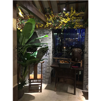 苏州火锅店整体造景 
