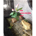 苏州无锡昆山上海常熟千层石假山瀑布流水