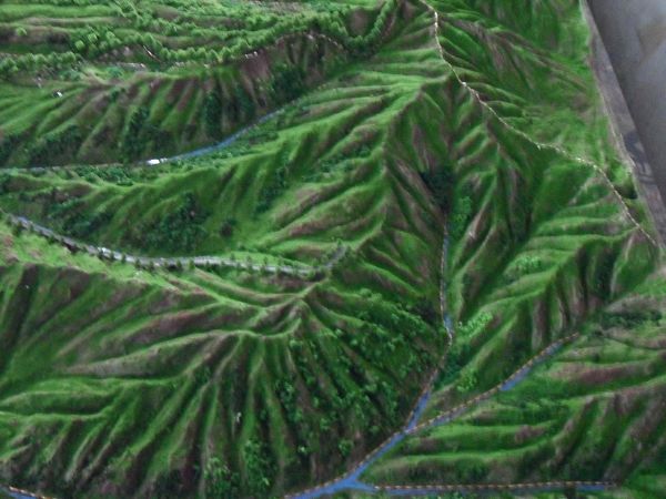 斯维景观模型